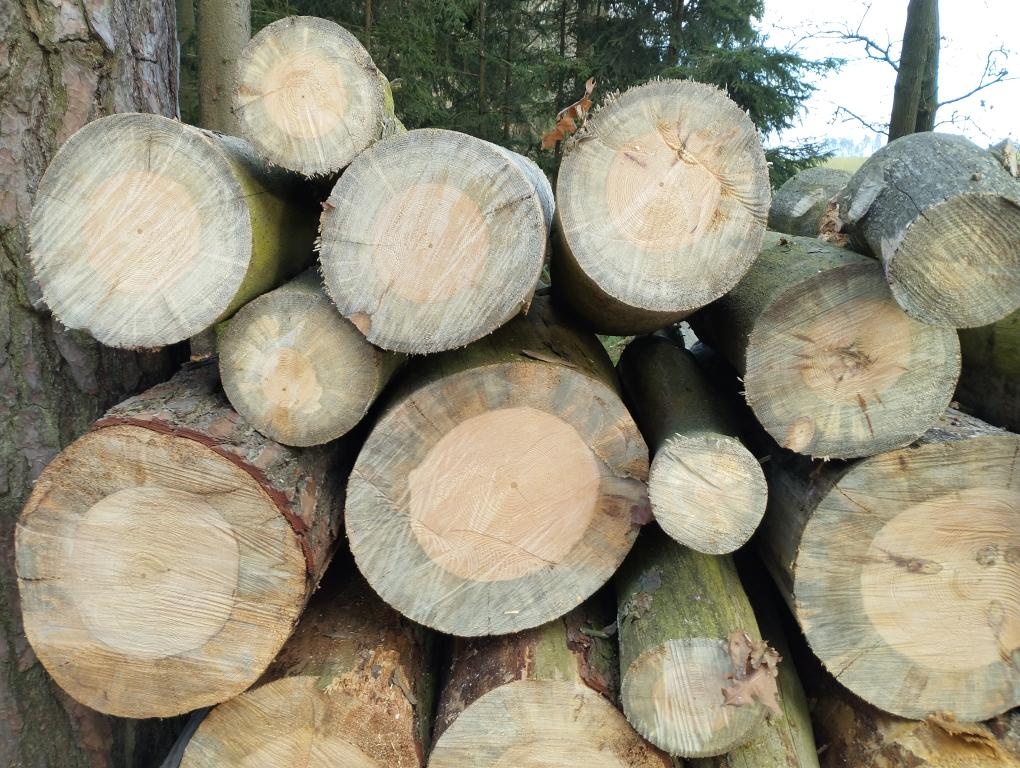 Palivové dřevo - 9