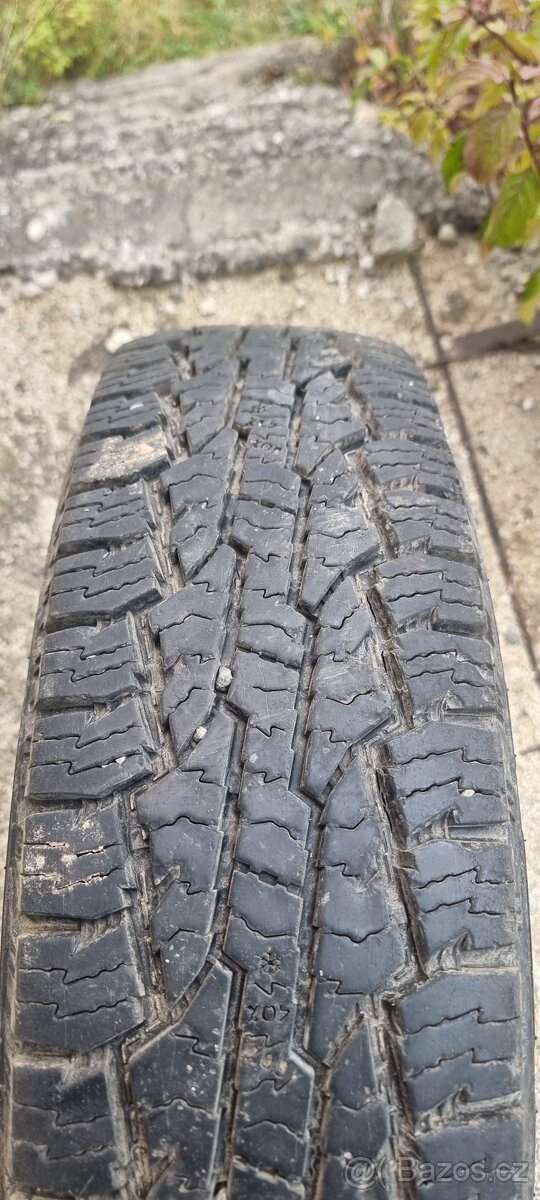 Santana Anibal PS 10 - 9