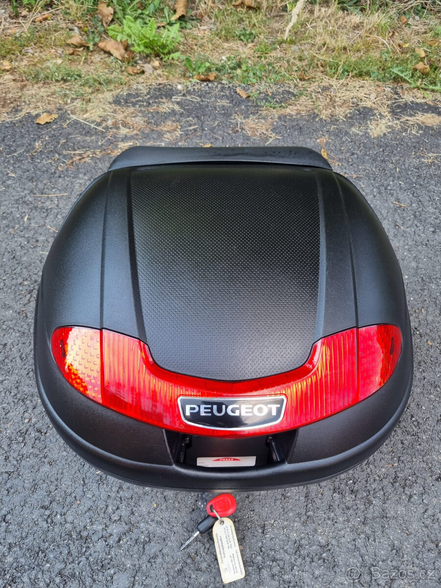 Peugeot Geopolis 300 - 9