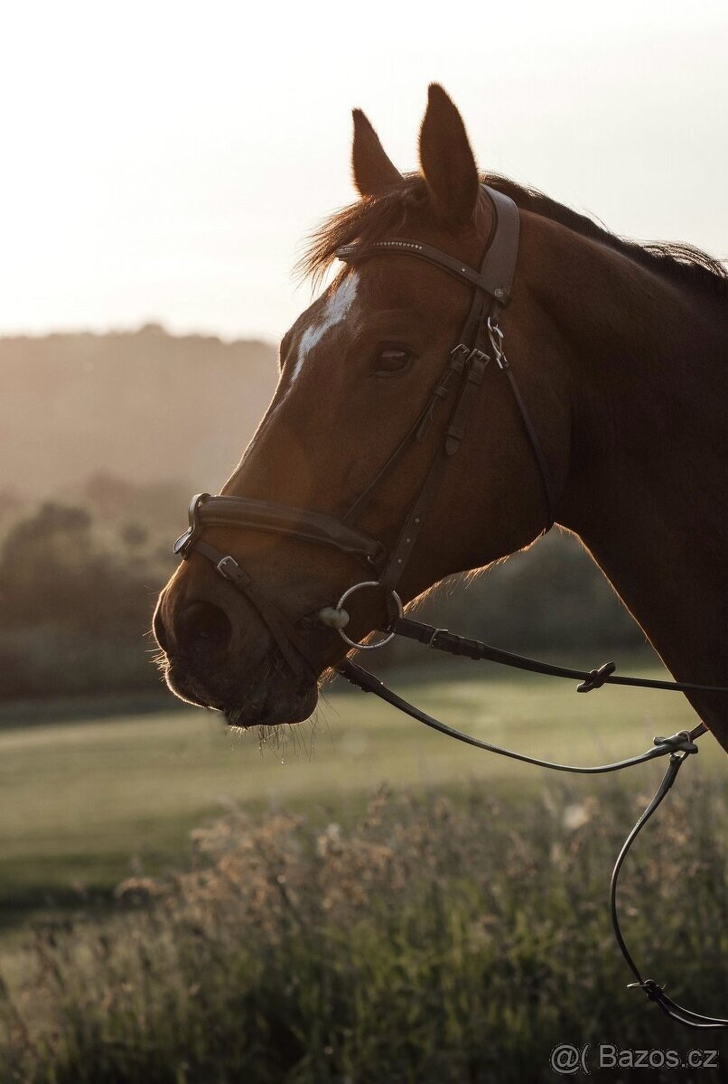 VALACH PARŤÁK PRO ŽIVOT A REKREACI - 9