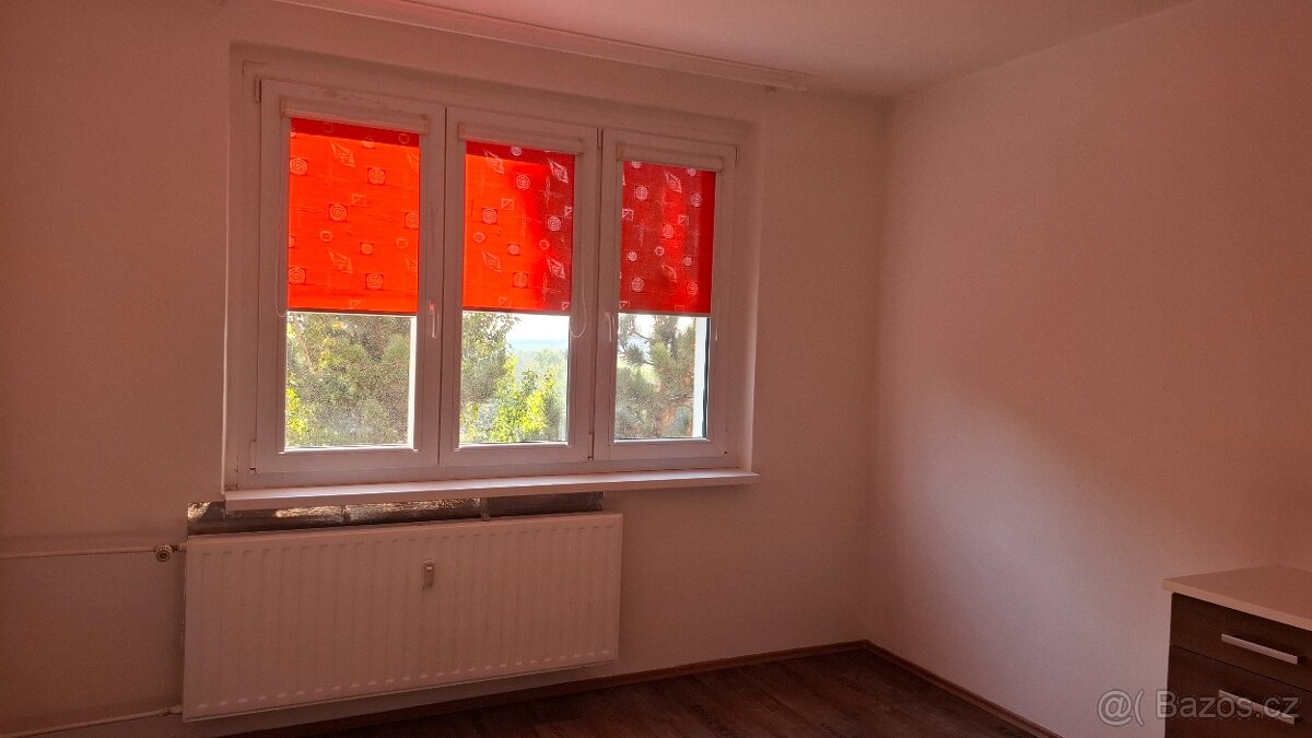 Pronájem bytu 1+1 ve 3.patře v ulici Školní pěšina,Chomutov - 9