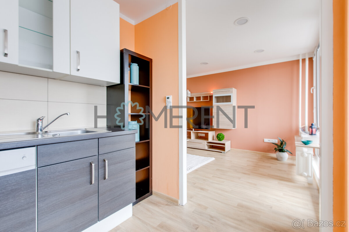 Pronájem prostorného bytu 3+1 s lodžií, sklepem a výtahem – - 9