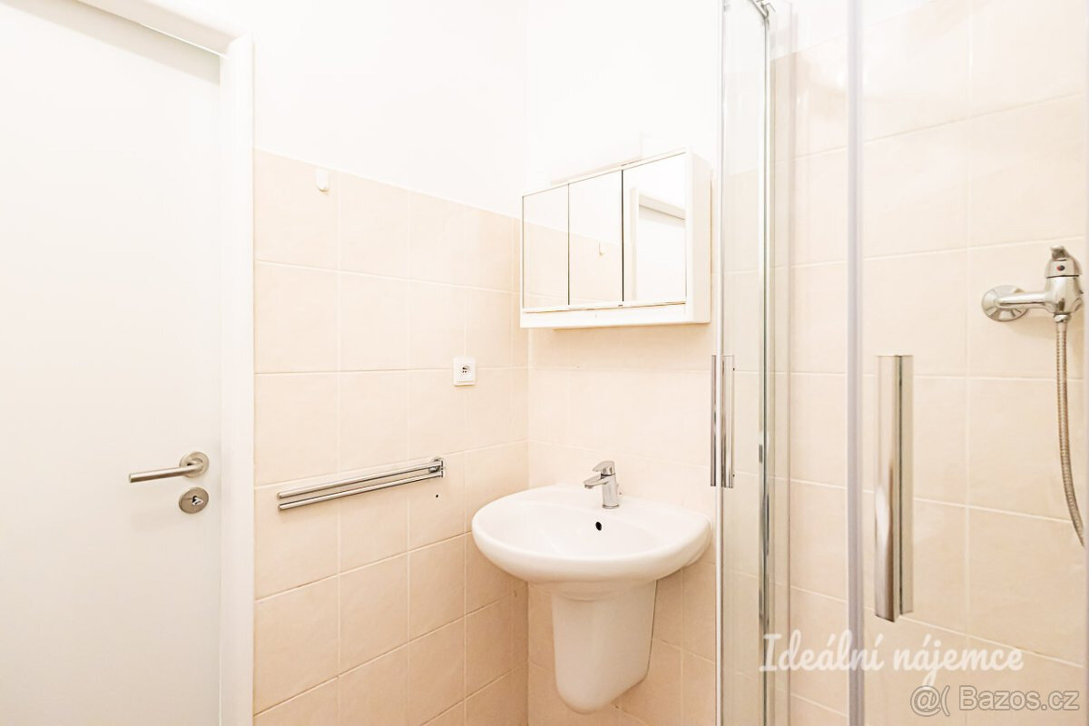 Pronájem bytu 1+1, Křenická, Strašnice, 35m2 - 9