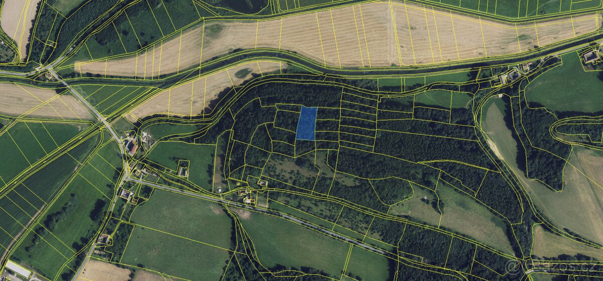 Prodám lesní pozemek v k.ú. Pěčíkov - 9