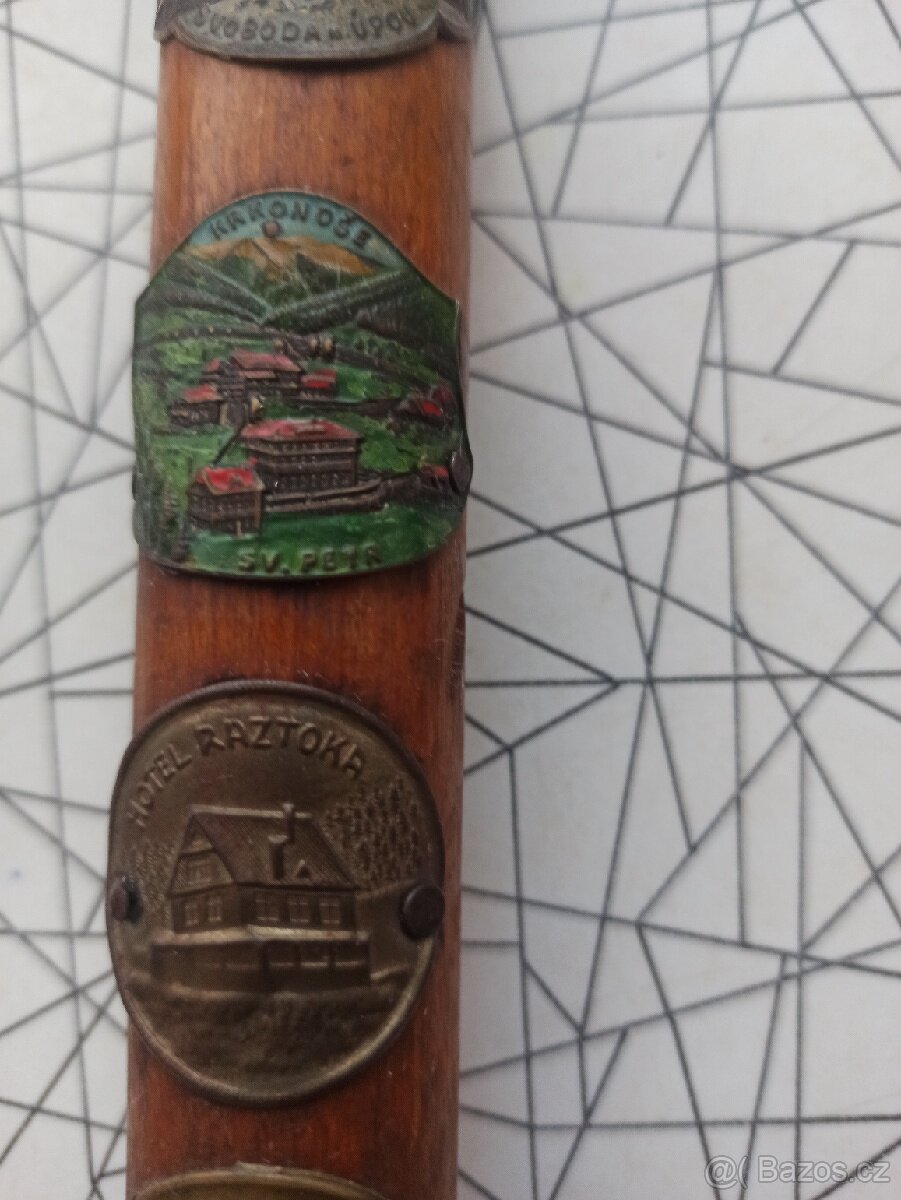 Vycházková , turistická, treková hůl - 9