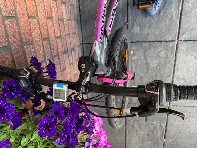Značkové kolo Author A-Matrix 26"/13,5" - 9