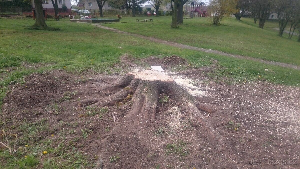 FRÉZOVÁNÍ - ODSTRAŇOVÁNÍ PAŘEZŮ - 9