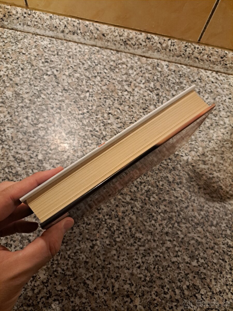 Jak jsem se mýlil v politice - Miloš Zeman - 9