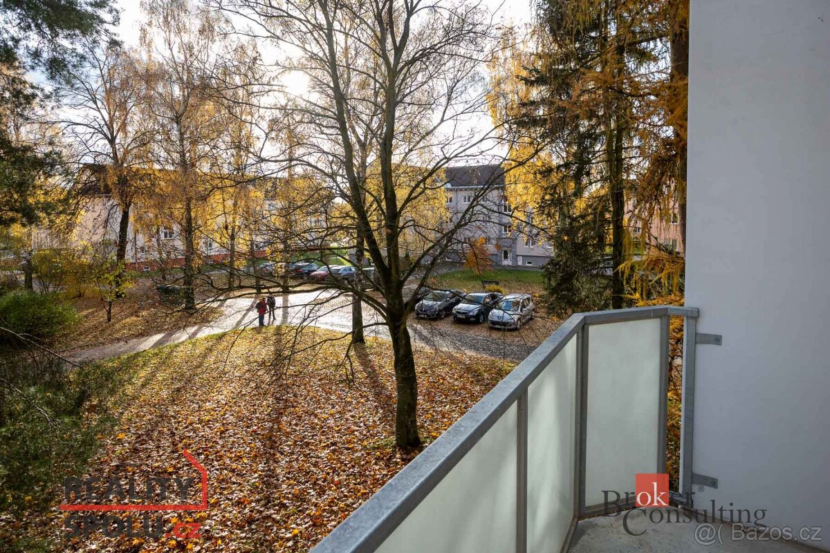 Pronájem, byty/2+1, 54 m2, Okružní 1888/4, 59101 Žďár nad Sá - 9