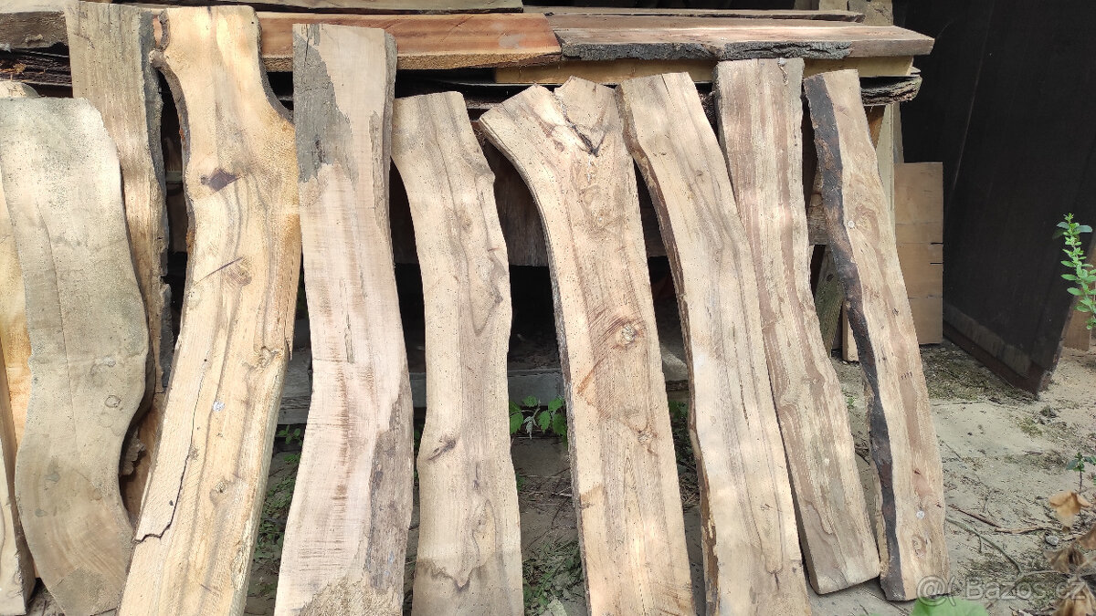 Staré suché listnaté dřevo - 9