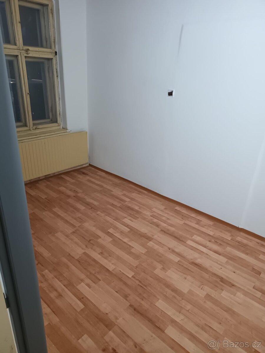 Pronajmu 2+1 na Vrchu S VLASTNÍ ZAHRADOU - 9