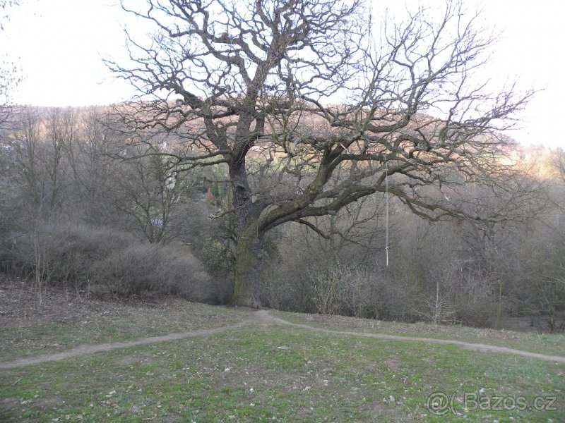 Zahrada v Doběticích - 9