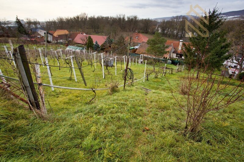 Prodej rodinného domu 235 m², pozemek 4761 m², Velké Žernose - 9