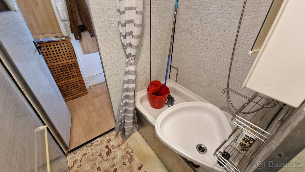 Byt 1+1 Polná - 9