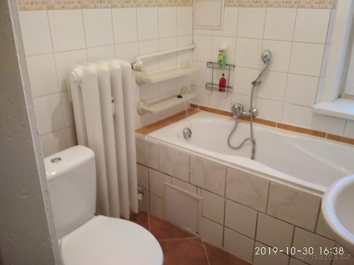 Byt 2+kk+B U Vlastního krbu,Teplice - 9