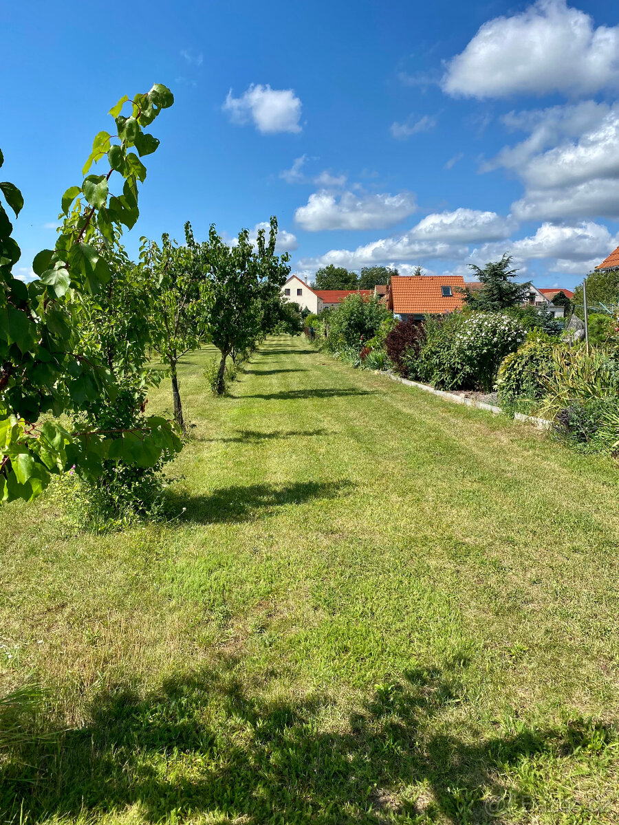 Stavebni pozemek Havraniky - 9