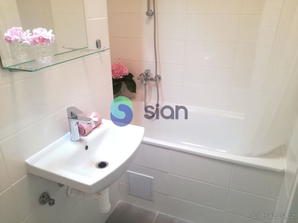 Podnájem bytu 1+1 36 m2, ul. Dr. Martínka 1157/53, Ostrava - - 9