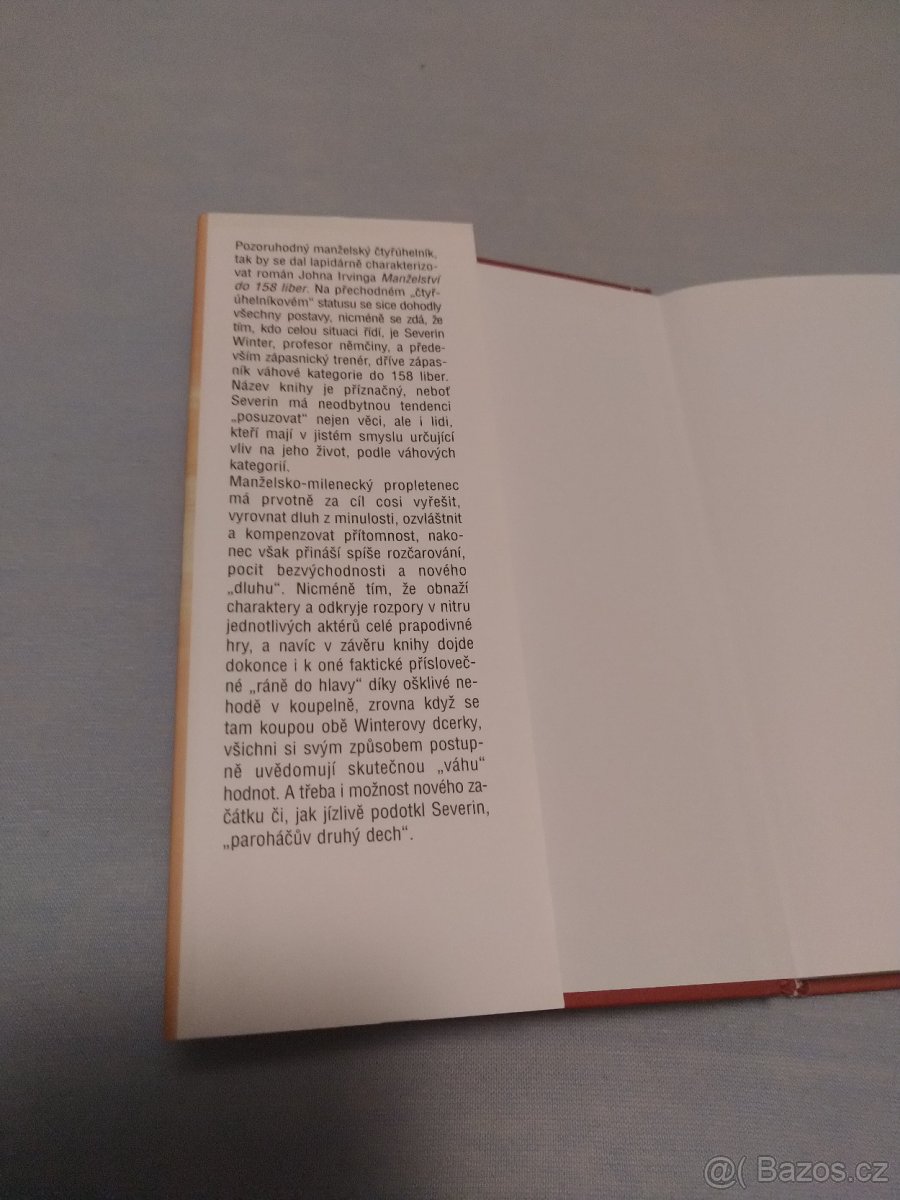 John Irving, Michael Palmer - 9