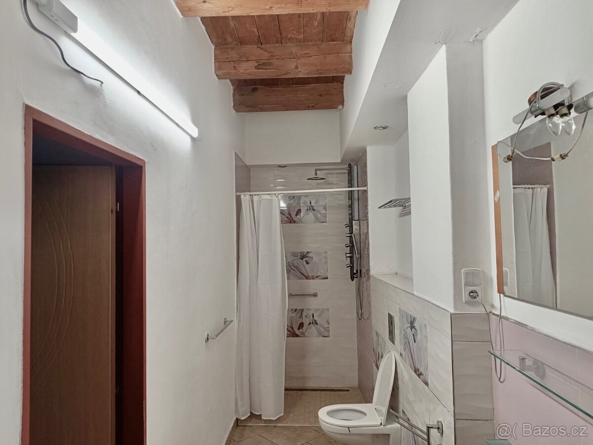 PRONÁJEM ubytování pro firmy i zaměstnance - 9