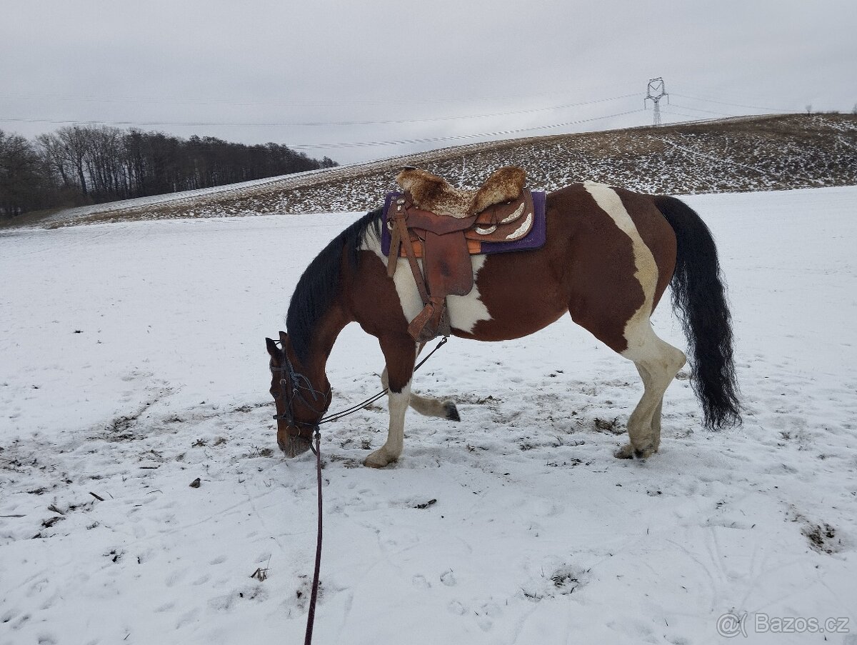 Valach APH po Skips Diablo Bar - 9