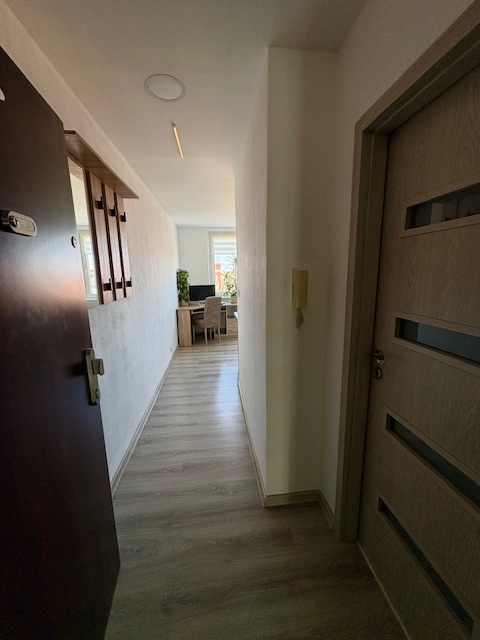 Pronájem nadstandartně vybaveného bytu 1+1 Jirkov - 9