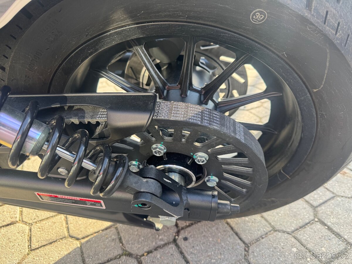 Benda Chinchilla 500 - 9