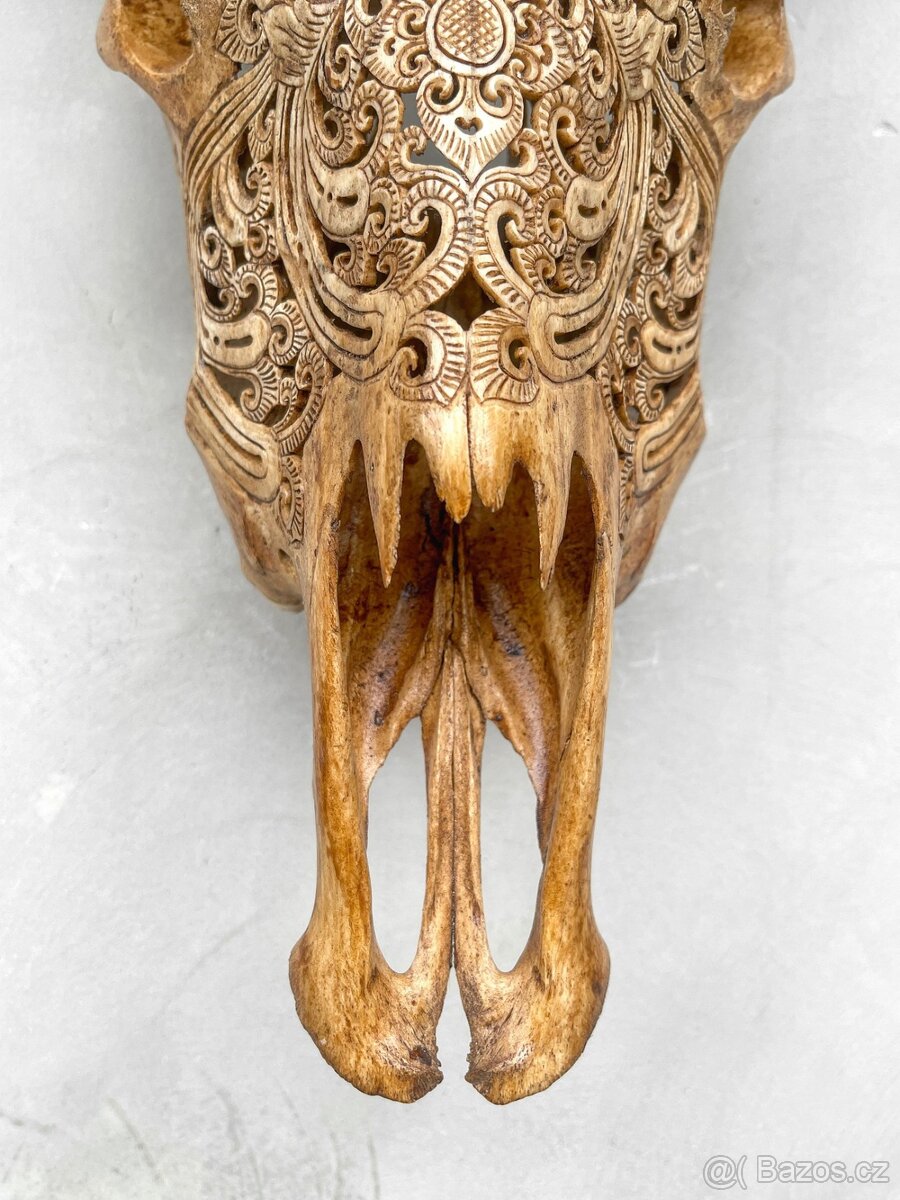 Lebka býka Motor Harley Davidson, 54cm - 9