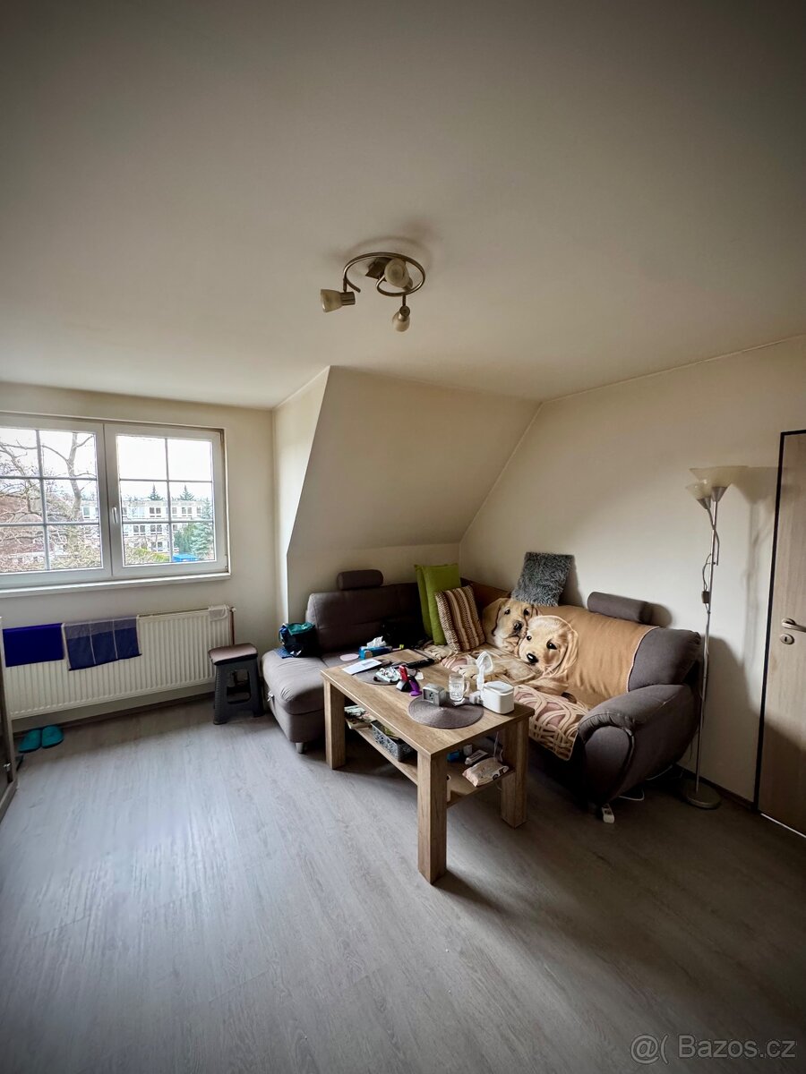 Pronájem hezkého bytu 1kk (možnost 1+1) v Liberci, Pavlovice - 9