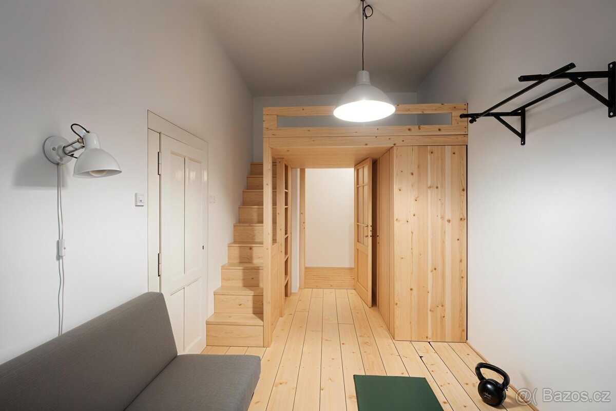 Příjemný byt 1+1 s výhledem do zeleného vnitrobloku | Bubene - 9