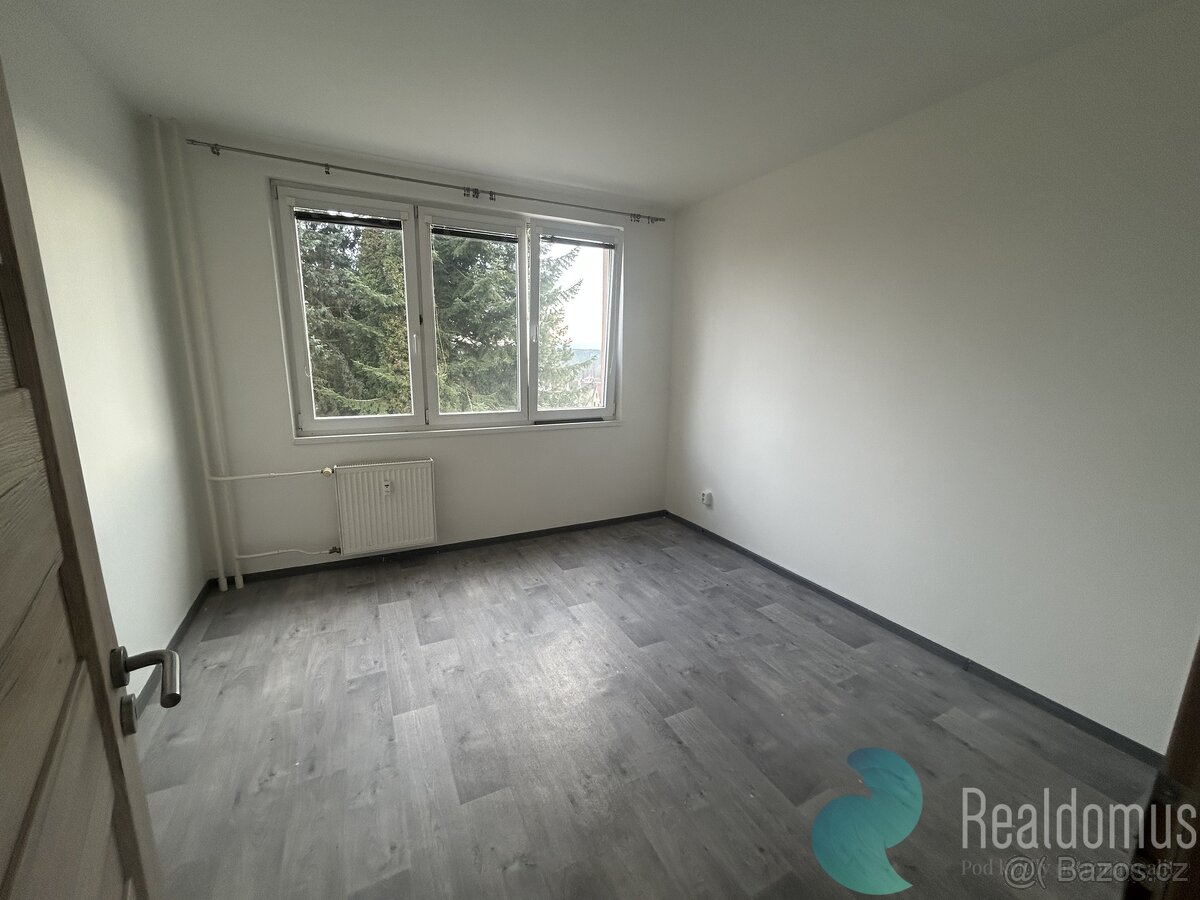 Pronájem bytu 3+1 v Borovanech - 9