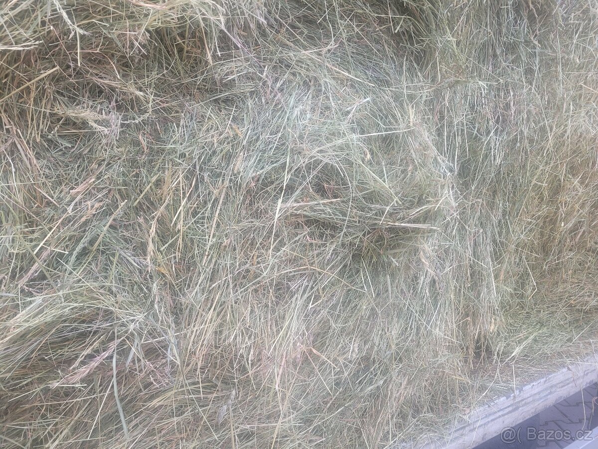 Seno kulaté balíky ze Šumavy - 9