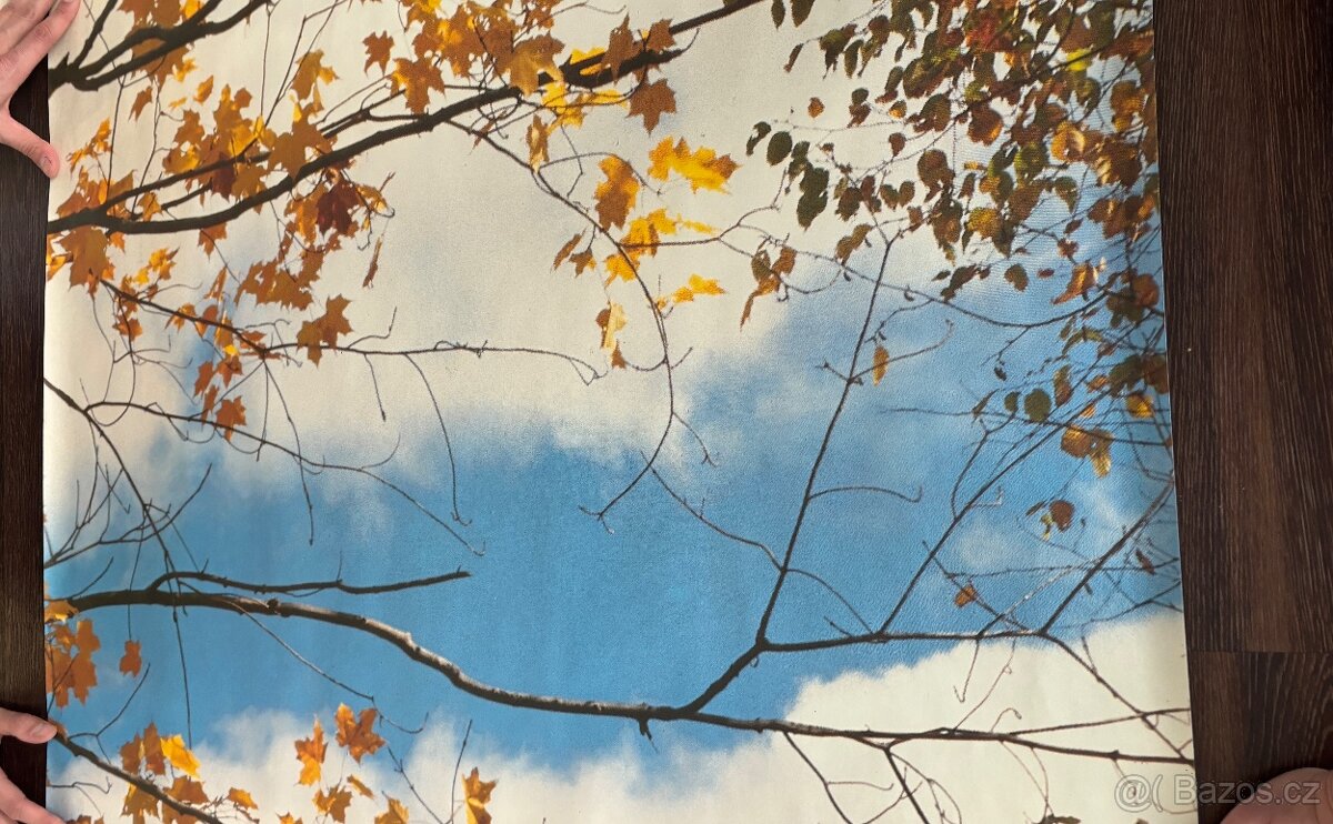 Obrazová tapeta Podzimní romance - 9