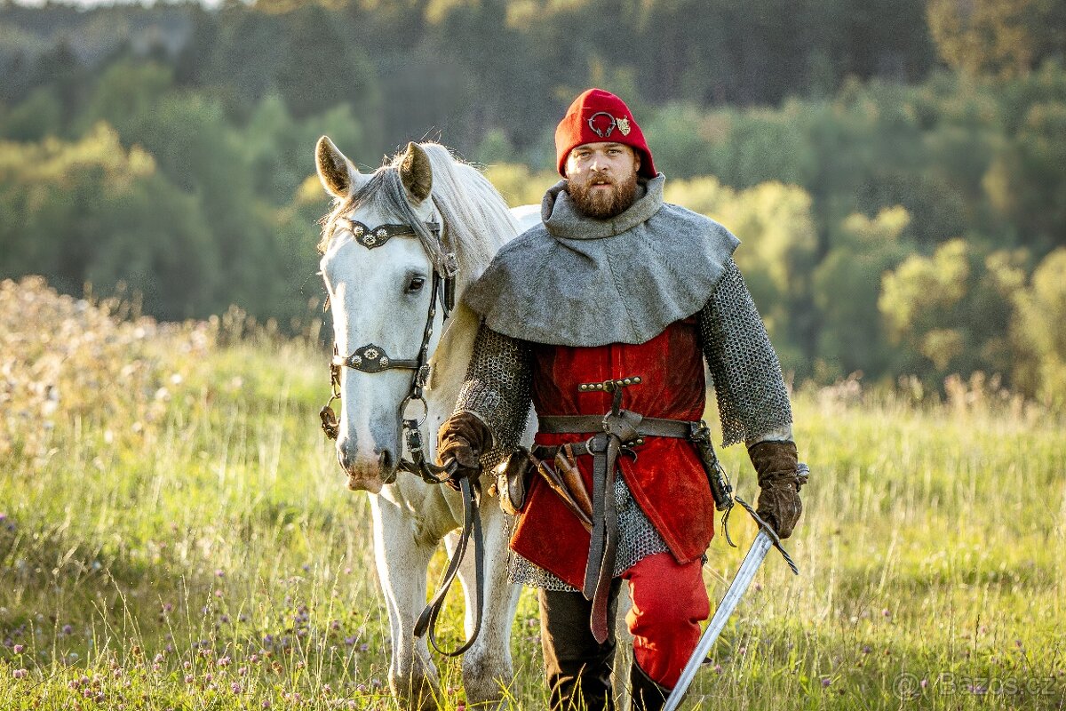 Starokladrubský valach na prodej - 9