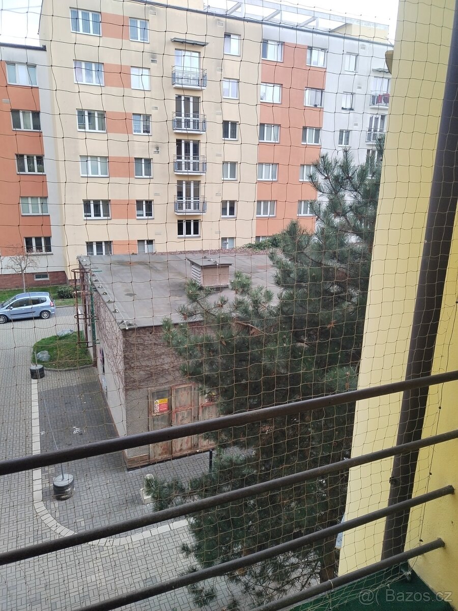 Pronájem bytu 2+1 v Pardubicích - centrum - ul. Sladkovského - 9