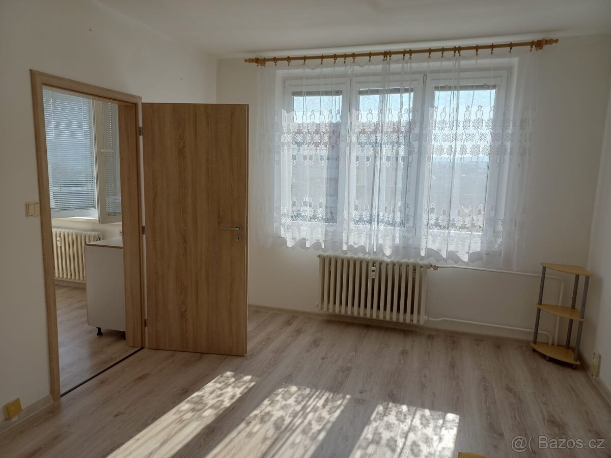 Pronájem bytu 1+1 - 9