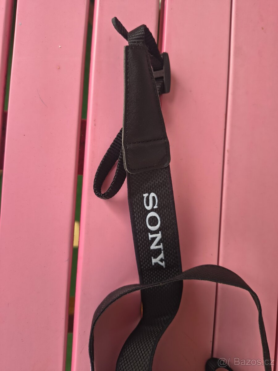 Sony DSC RX10 - 9