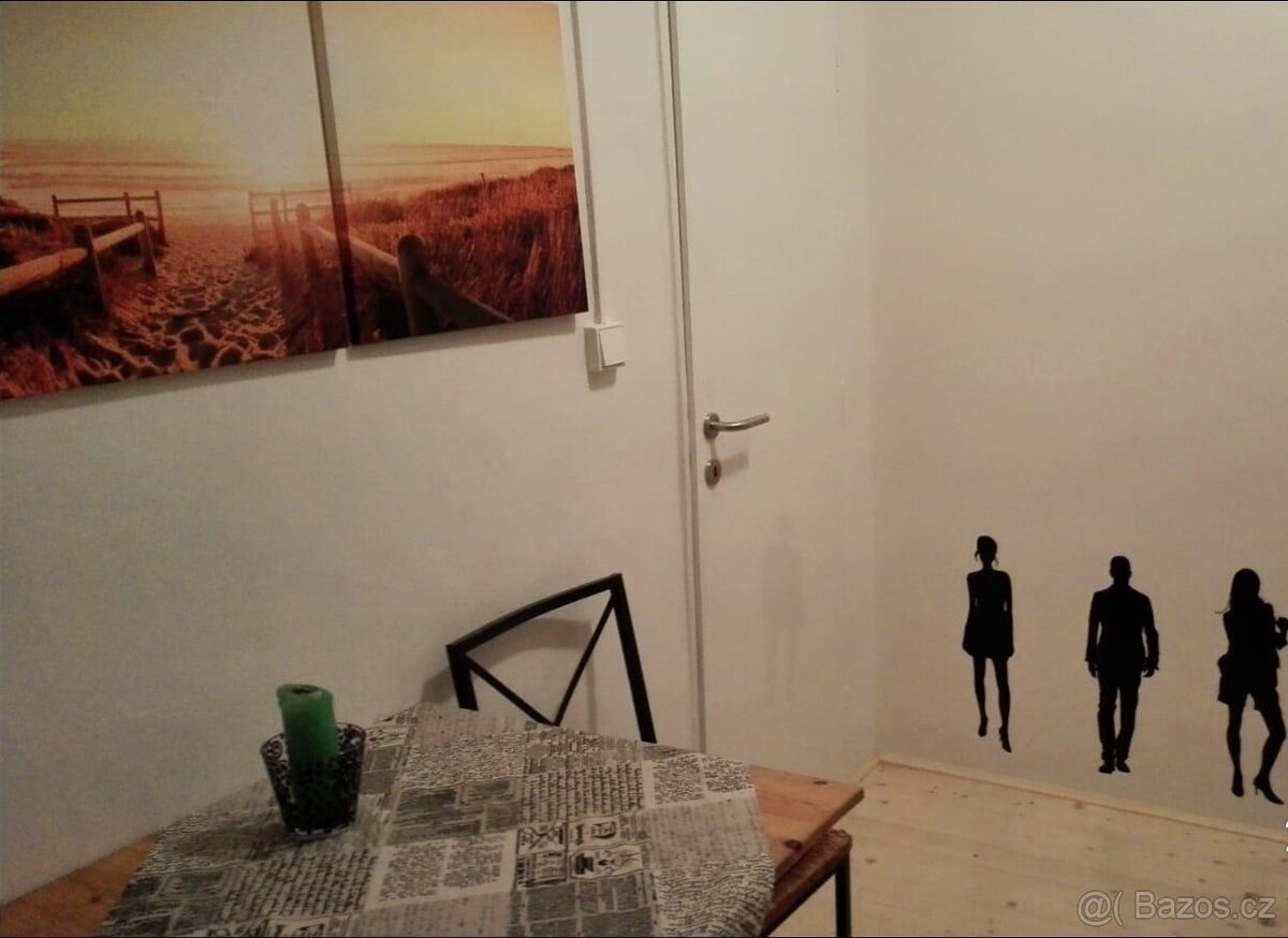 K. Vary OV 1+1 v Ondřejské 24m2 - 9