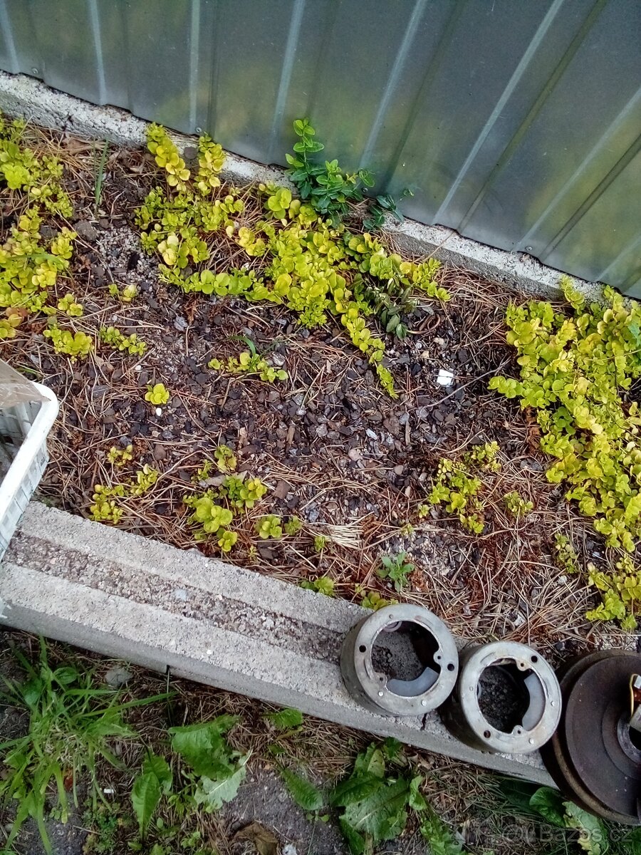 JAWA ČZ-ZAPALOVÁNÍ - 9