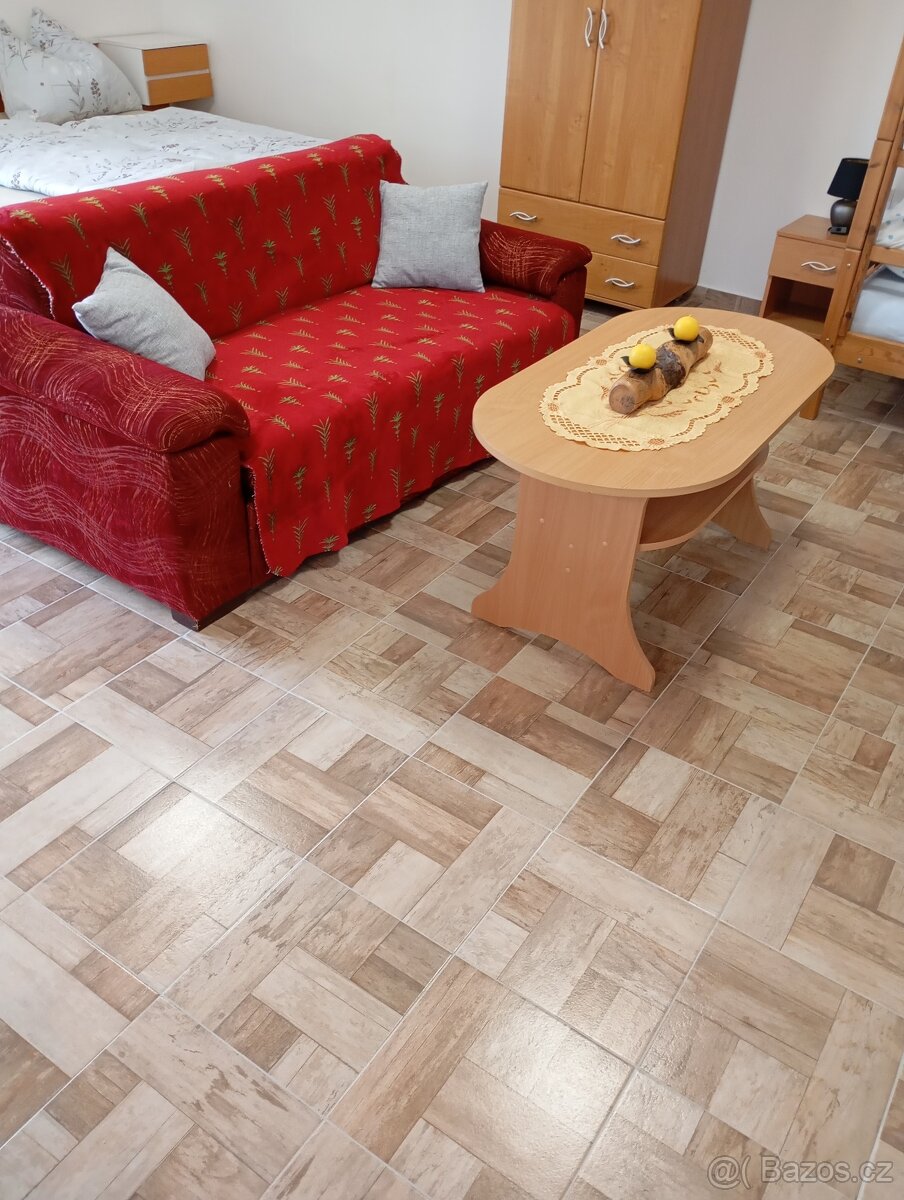 Chata a apartmán - 9