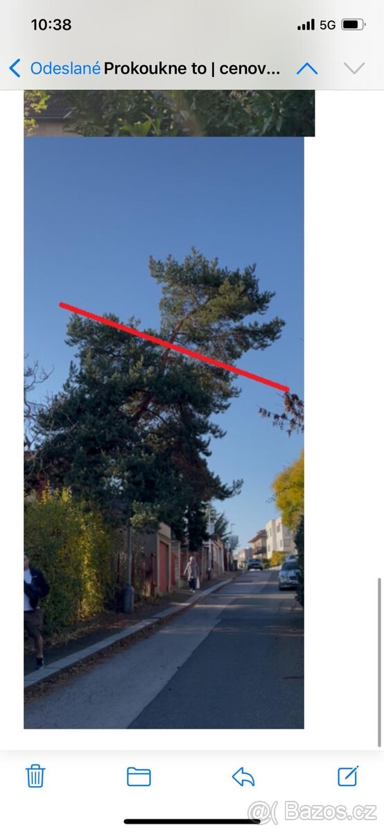 Rizikové kácení a ořez stromů – Praha a Středočeský kraj - 9