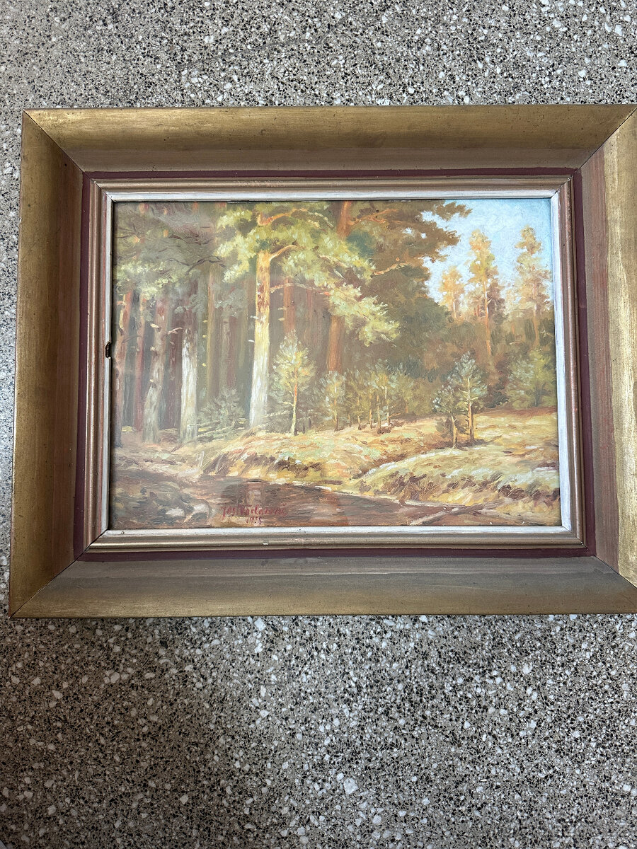 Obrazy retro staré. - 9