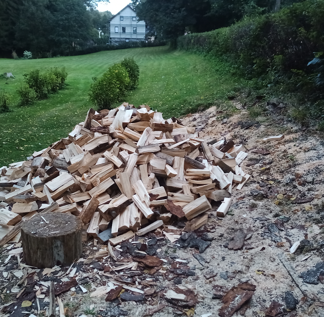 Údržba zahrad, lesů, domů i bytů - hodinový manžel - 9