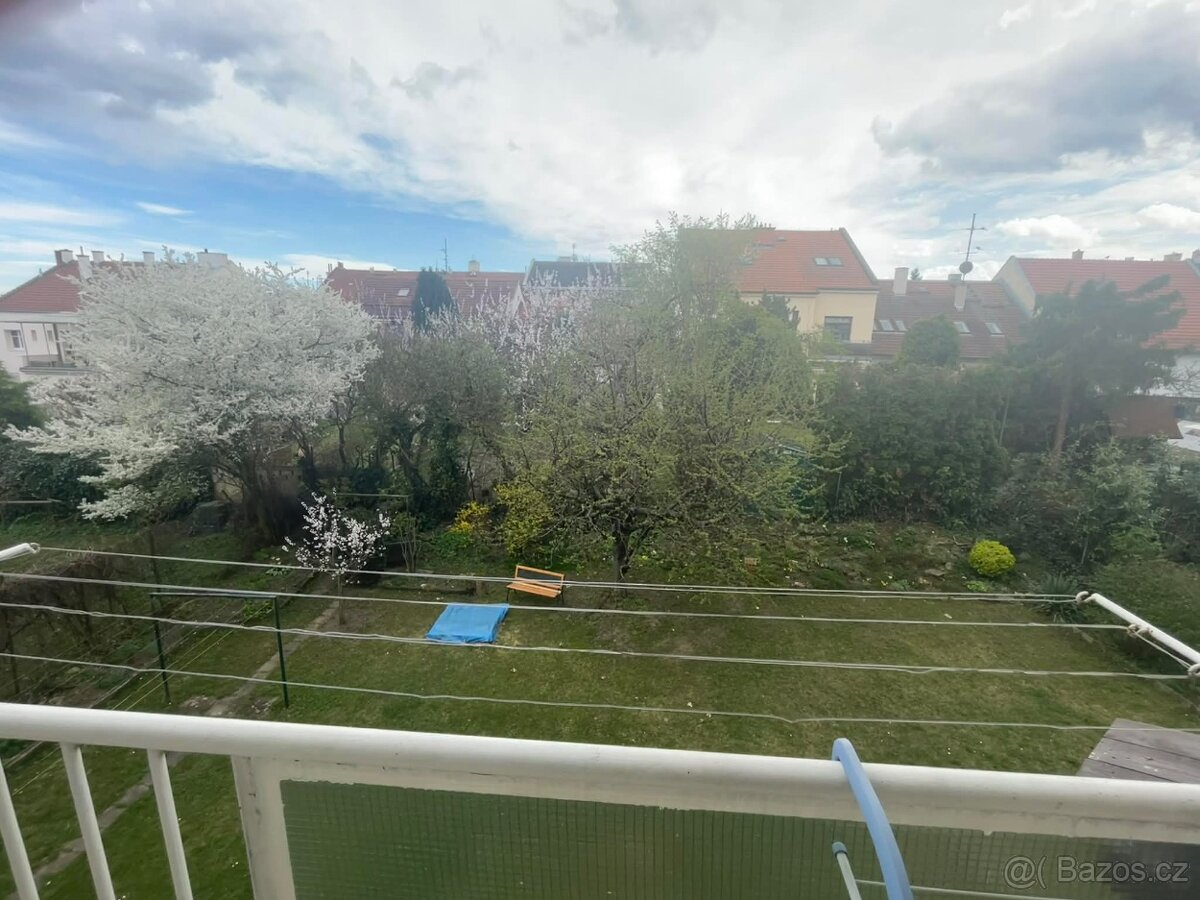 Spolubydlení v bytě - Brno (u Semilasso) - 9