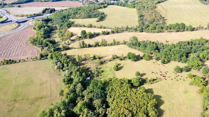 Prodej, pozemek, 7500 m2, Řehlovice-Stadice - 9