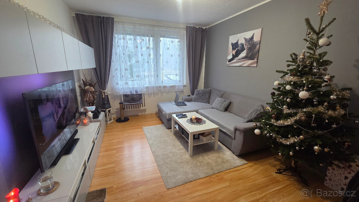 Prodej bytu 2+1 Třebíč - 9