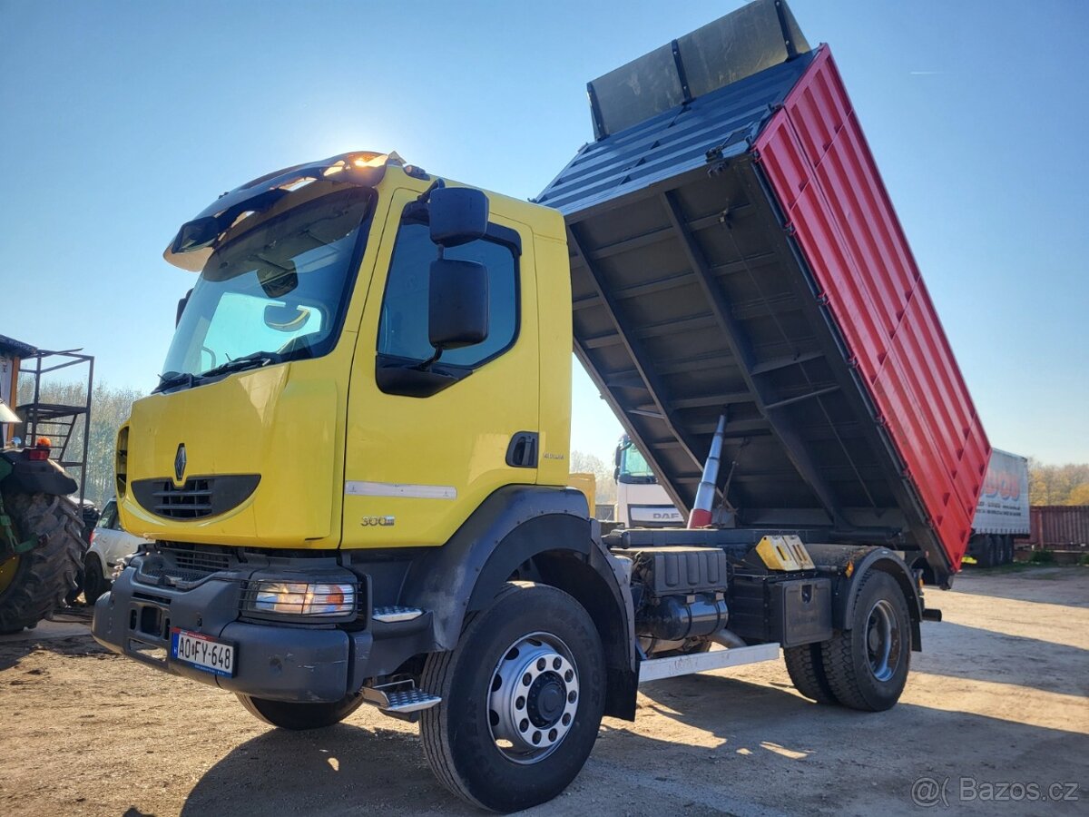 RENAULT MIDLUM 300 DXI 3S 4X4 - 9