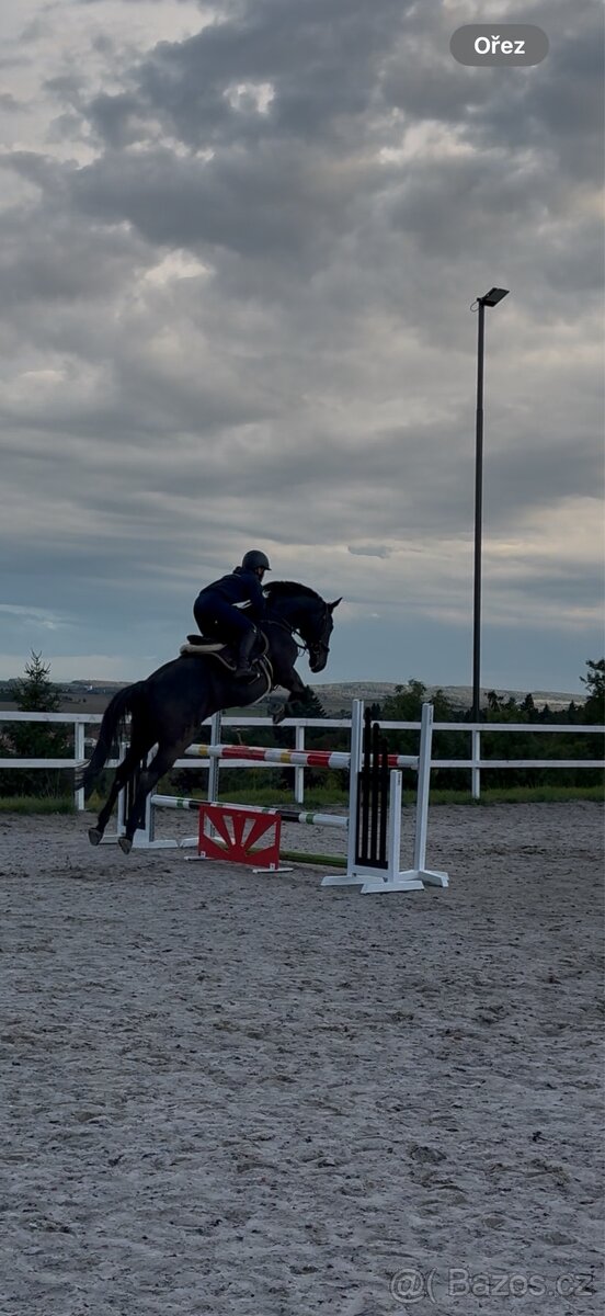 valach a1/1 do sportu/aktivni rekre - 9