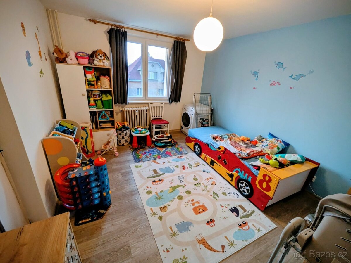 Prodej zrekonstruovaného bytu 2+1 - 9