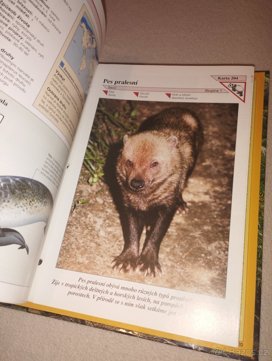 Encyklopedie zvířat - 9