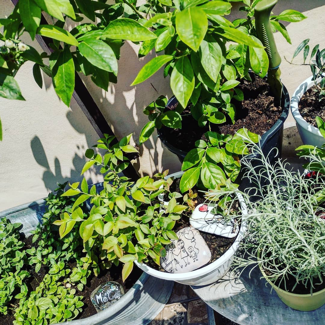 Truhluiky aj na zahradku - 9